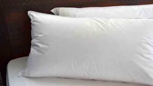 Exploring-the-Pinnacle-of-Comfort-Unveiling-the-Superiority-of-Goose-Down-Pillows-in-Elegance and-Durability