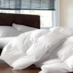 Why-Goose-Down-Comforters-Keep-You-Warm in-Winter